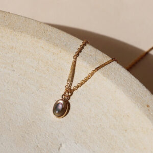 Abalone Necklace