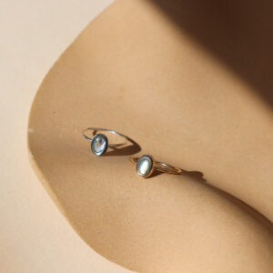 Abalone Ring